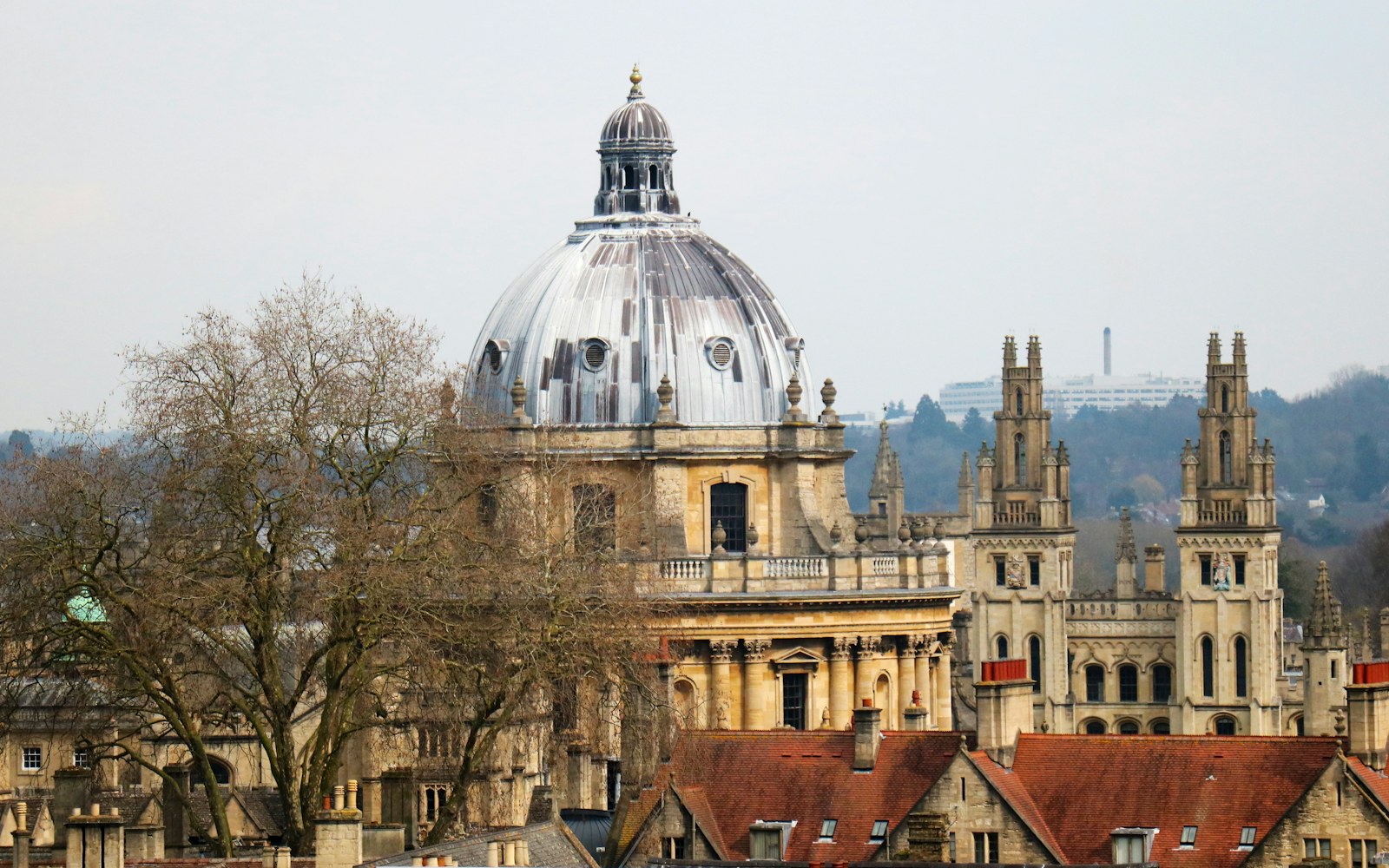 Back Pain in Central Oxford: When to See an Osteopath
