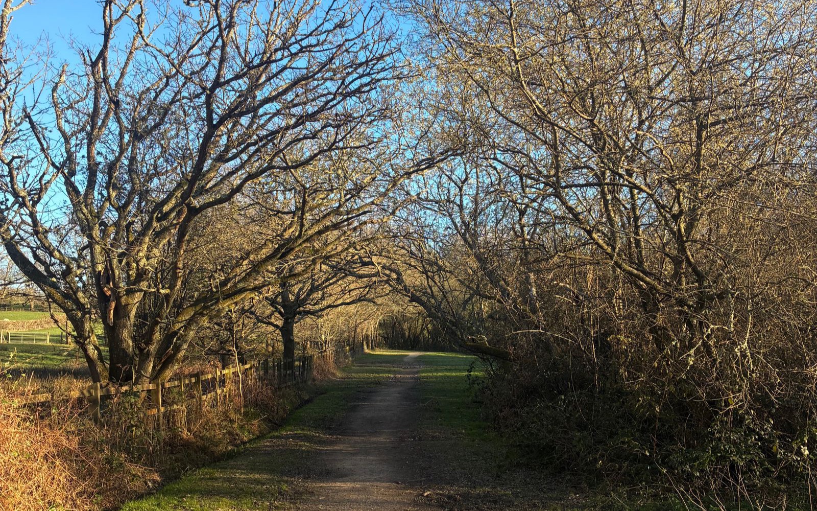 A Good Day Is Not a Test: Pacing Life With Persistent Pain
